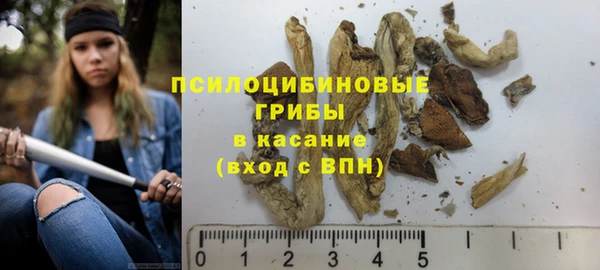 винт Балахна
