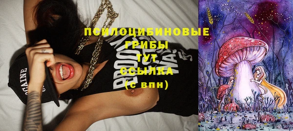 Альфа ПВП Балабаново