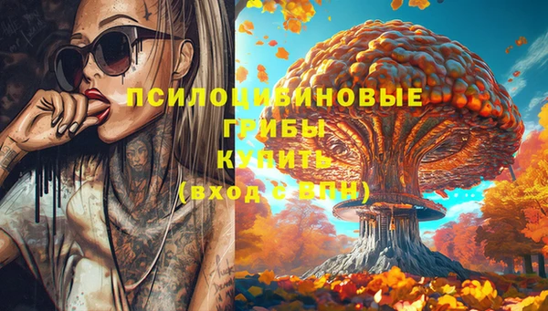 Альфа ПВП Балабаново