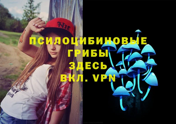 винт Балахна